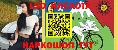 прущие грибы Краснознаменск