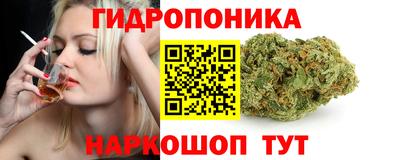 прущие грибы Краснознаменск