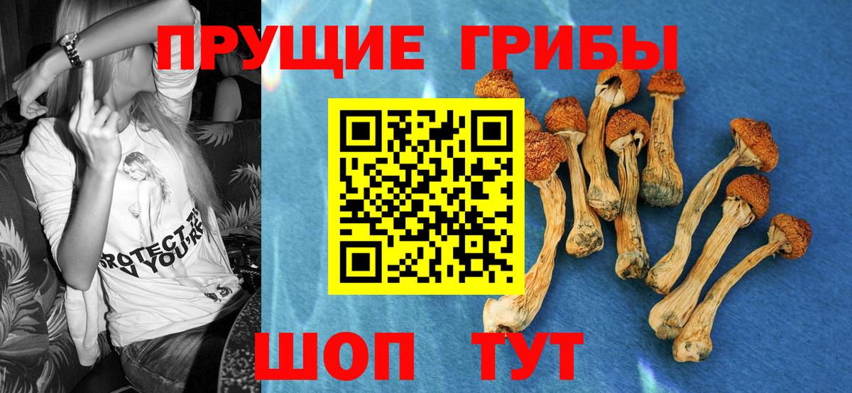 Псилоцибиновые грибы Psilocybe  Галлюциногенные грибы ЛСД  Вход с VPN  Тулун 